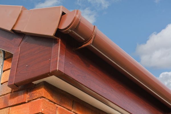 Fascia Renovation