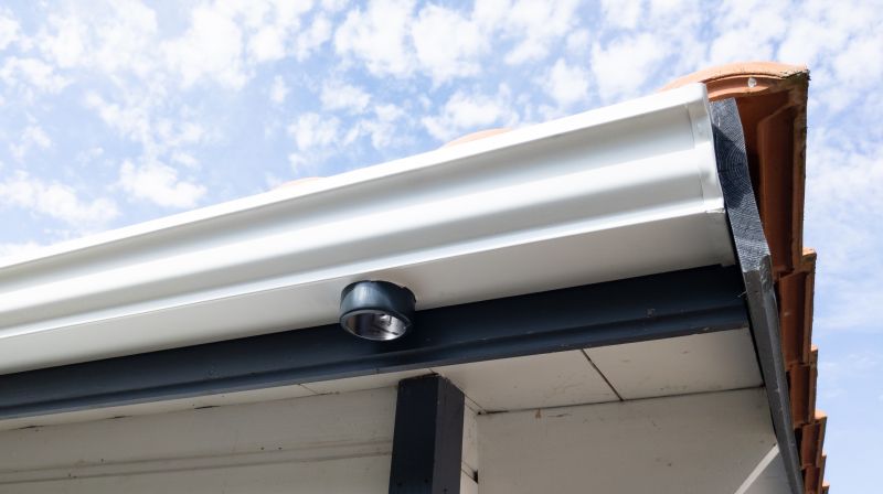 Gutter Service detail