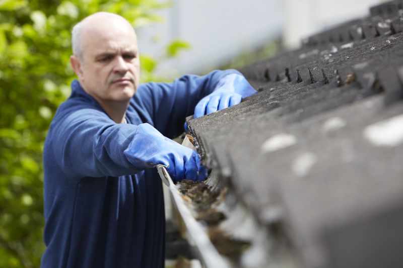 Cleaning Gutters